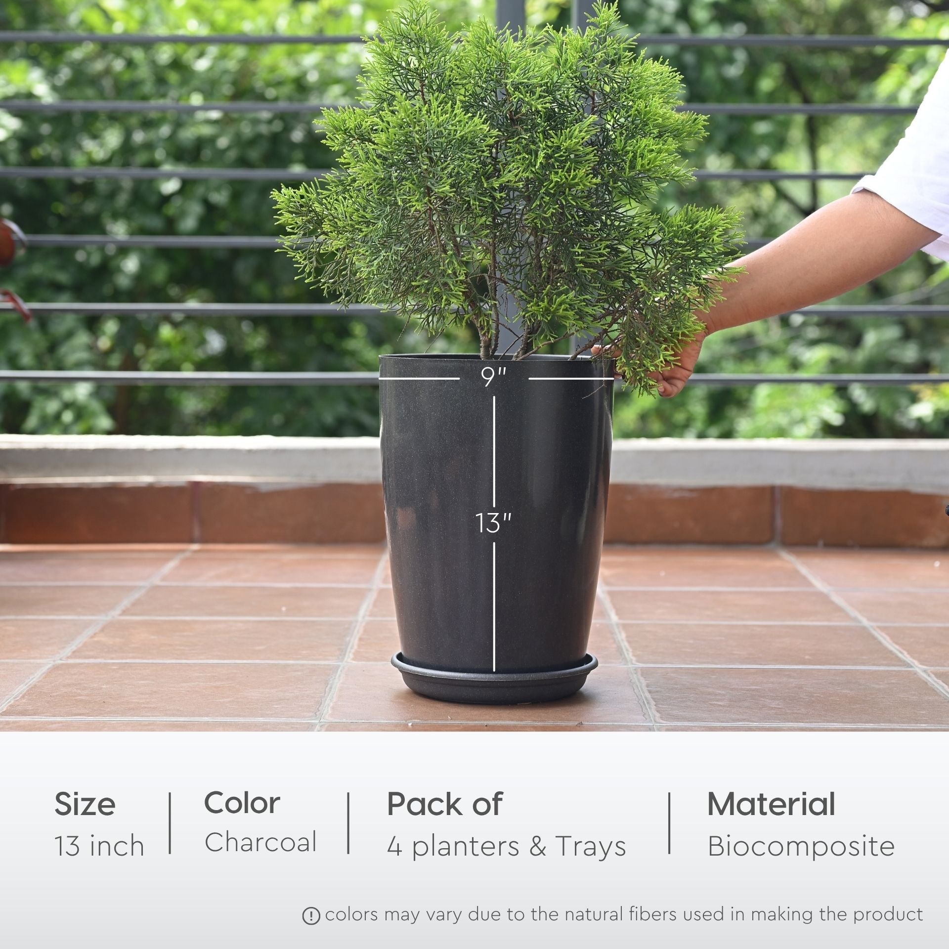 Earth Friendly Cypress 13 4 image 2