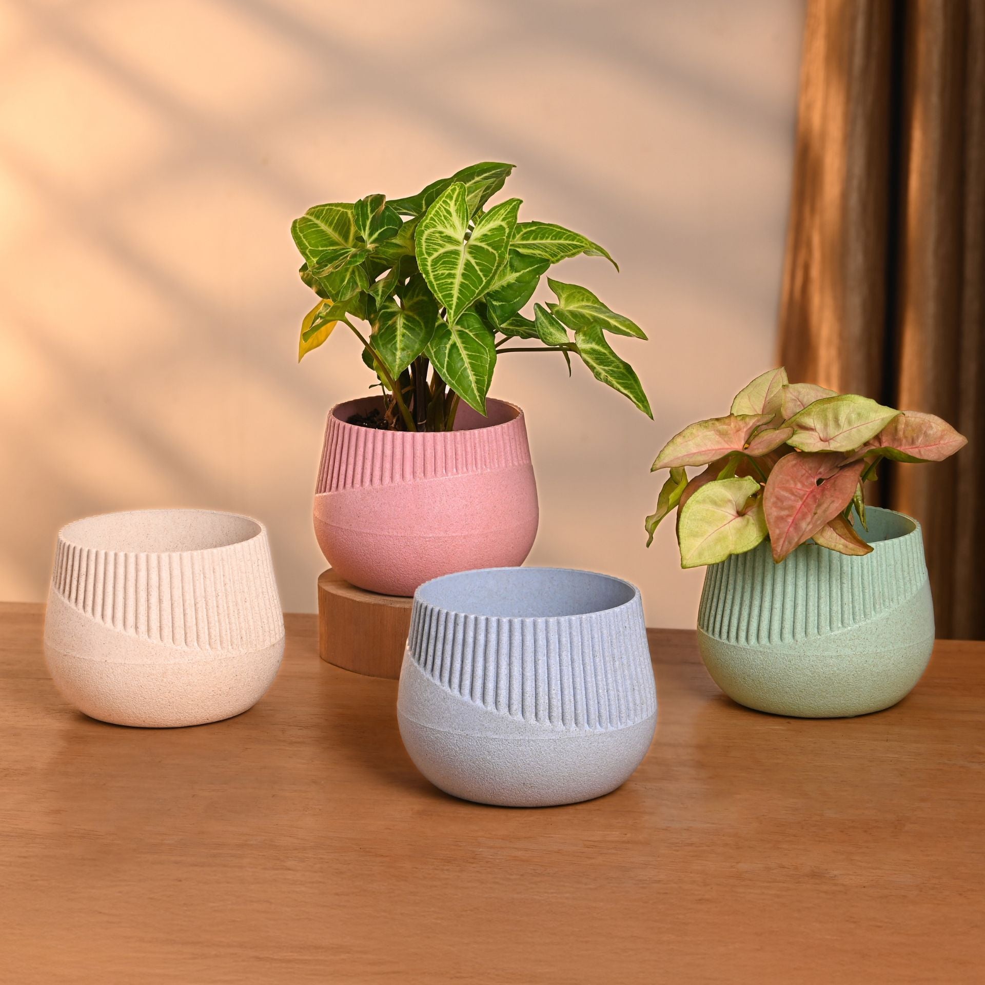 Earth-Friendly Oreo 4 inch small pots | Set of 4