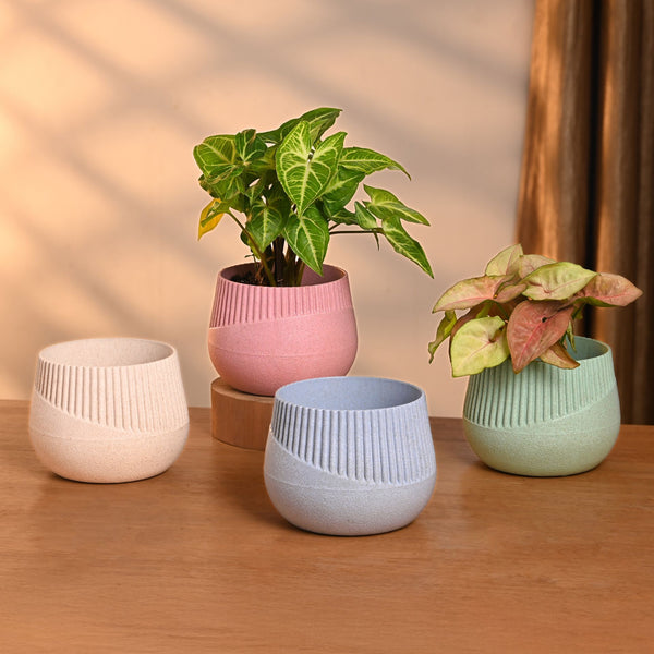 Earth-Friendly Oreo 4 inch small pots | Set of 4
