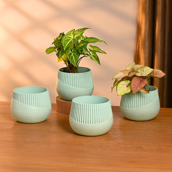 Earth-Friendly Oreo 4 inch small pots | Set of 4