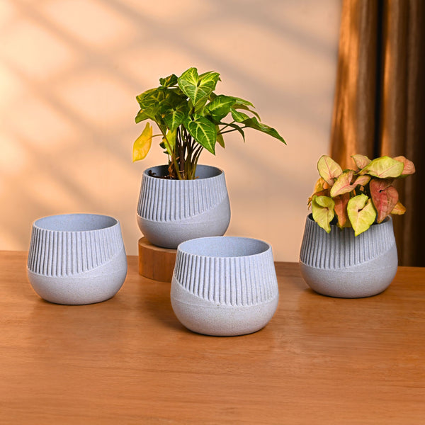 Earth-Friendly Oreo 4 inch small pots | Set of 4