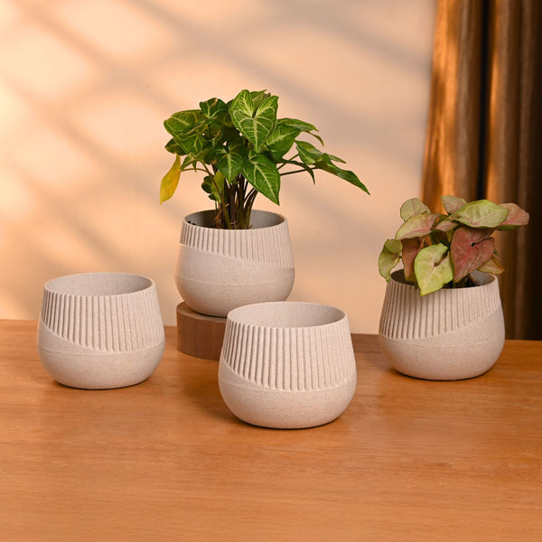 Earth-Friendly Oreo 4 inch small pots | Set of 4