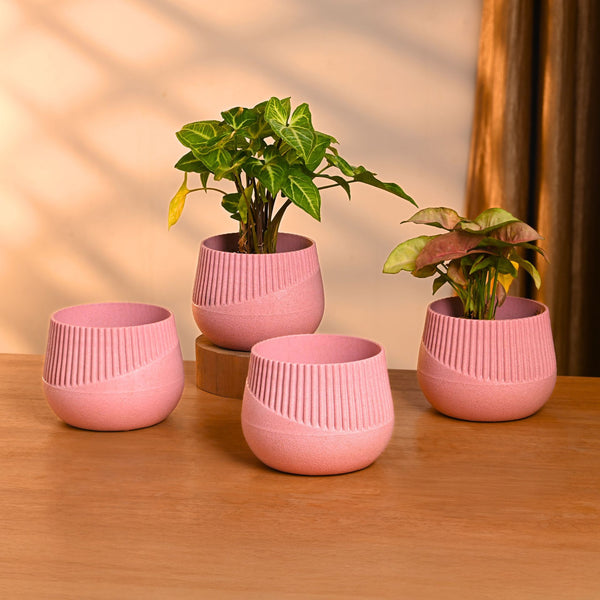 Earth-Friendly Oreo 4 inch small pots | Set of 4