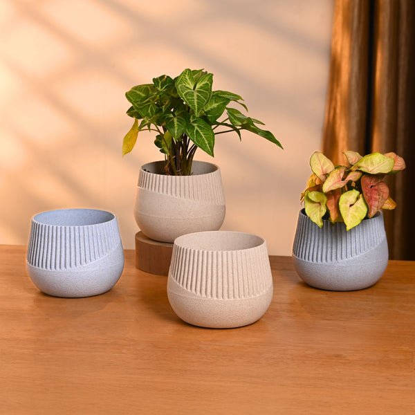 Earth-Friendly Oreo 4 inch small pots | Set of 4