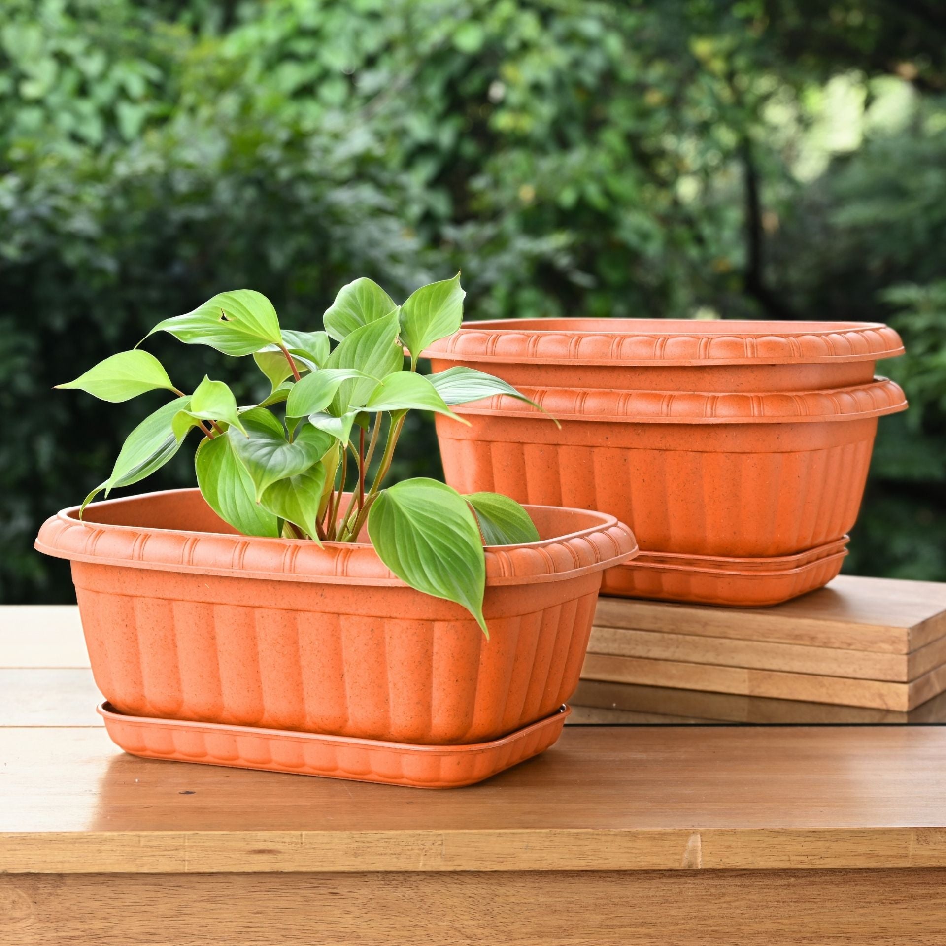 Earth Friendly Growlite 13 inch Pots for Plants with Tray | Pack of 3