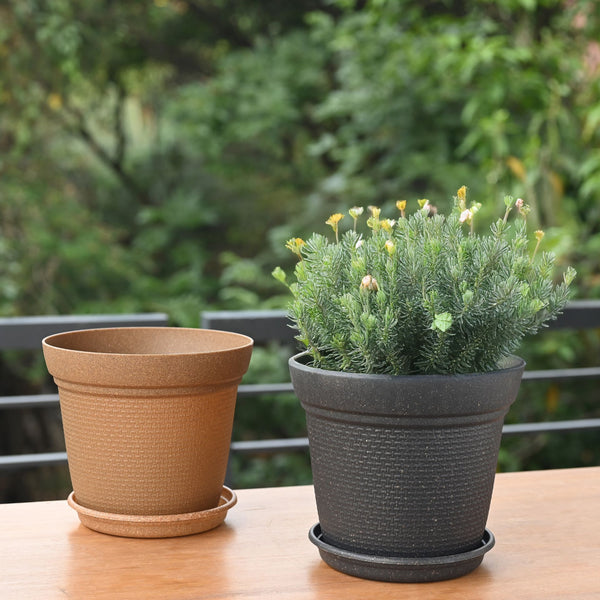 Earth-Friendly Planters Aura 8 Inch set of 2 | Bamboo Based Pots and Planters
