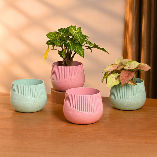 Earth-Friendly Oreo 4 inch small pots | Set of 4