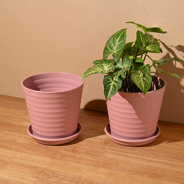 Earth Friendly Planters Linea 5.5 Inch | Set of 2