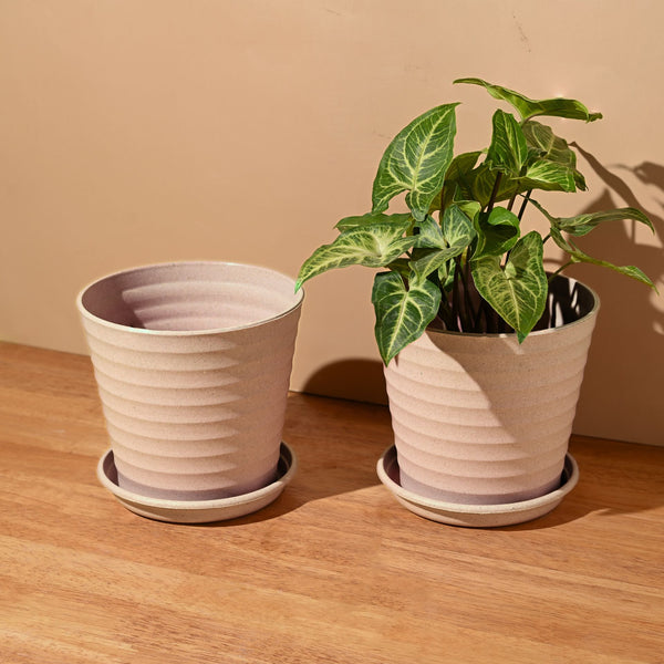 Earth Friendly Planters Linea 5.5 Inch | Set of 2