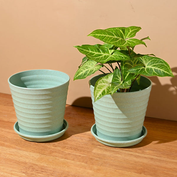 Earth Friendly Planters Linea 5.5 Inch | Set of 2