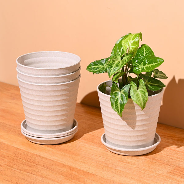 Earth Friendly Planters Linea 5.5 Inch | Set of 4