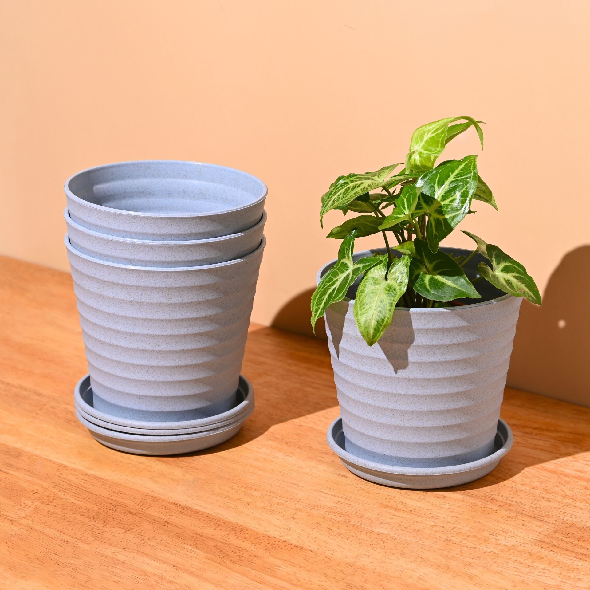 Earth Friendly Planters Linea 5.5 Inch | Set of 4