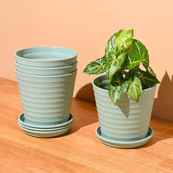 Earth Friendly Planters Linea 5.5 Inch | Set of 4