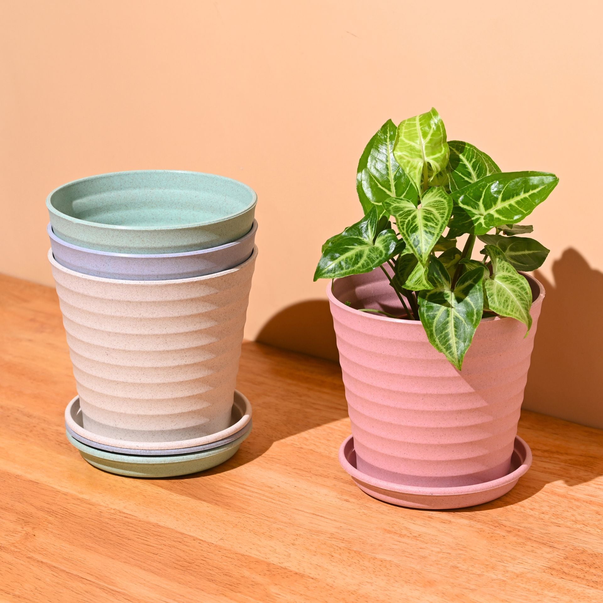 Earth Friendly Planters Linea 5.5 Inch | Set of 4