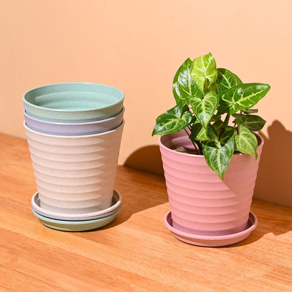 Earth Friendly Planters Linea 5.5 Inch | Set of 4