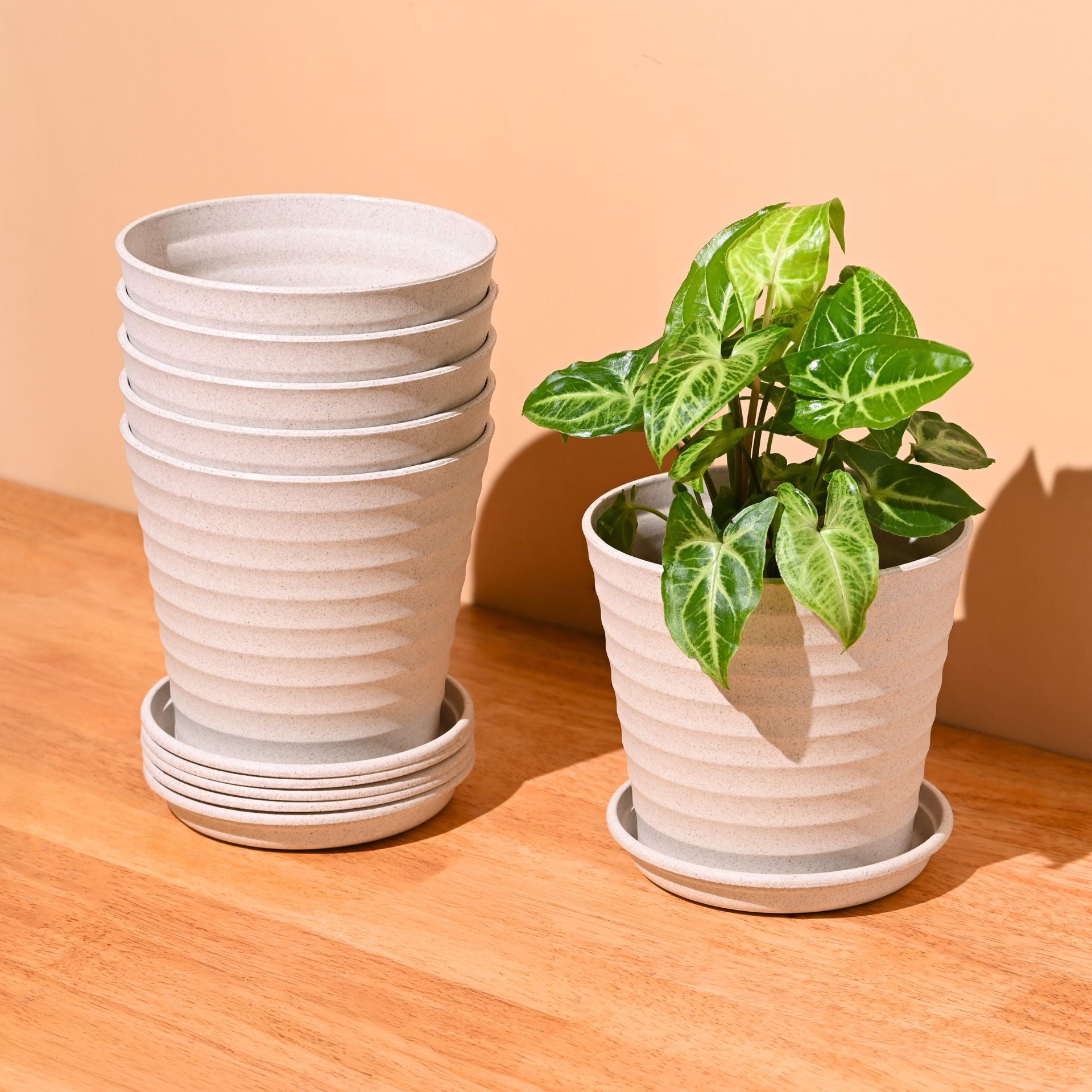 Earth Friendly Planters Linea 5.5 Inch | Set of 6