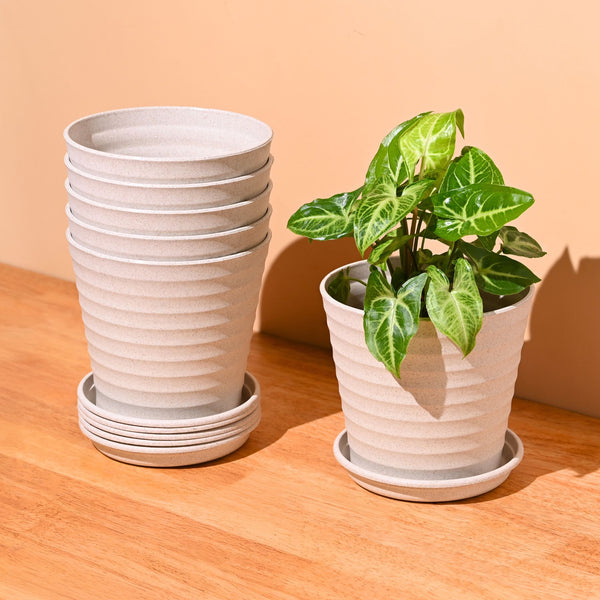 Earth Friendly Planters Linea 5.5 Inch | Set of 6