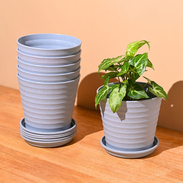 Earth Friendly Planters Linea 5.5 Inch | Set of 6