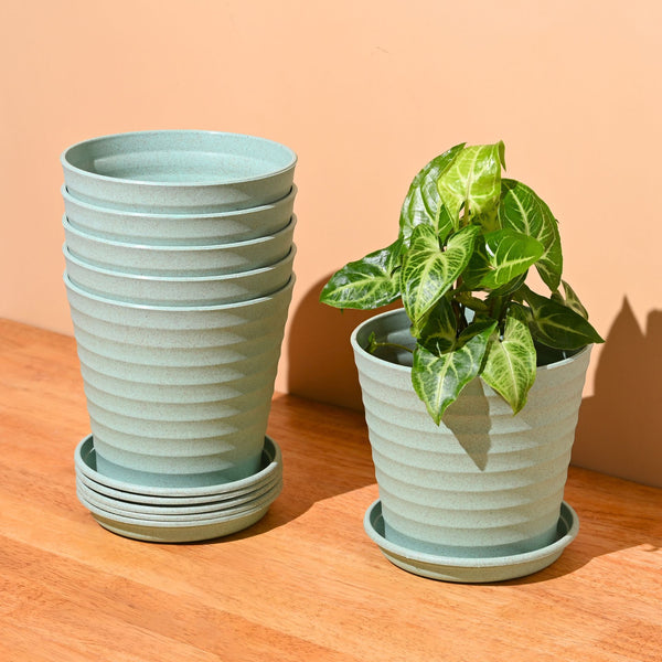 Earth Friendly Planters Linea 5.5 Inch | Set of 6