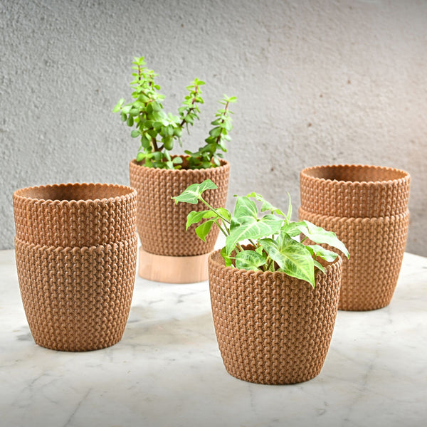 Earth Friendly Link 5.5 inch | Set of 6