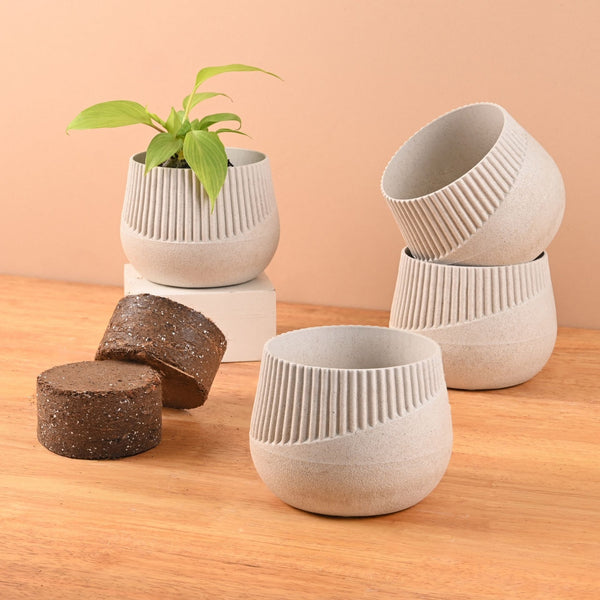 Earth Friendly Oreo 4 inch Small pots for Indoor Plants with 2 Growmix | Pack of 4