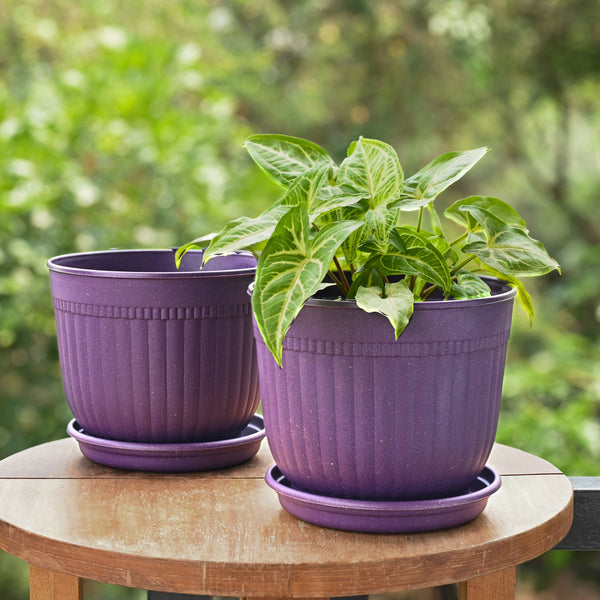 Eha Earth Friendly Petal Pot 7 inch | Pack of 2