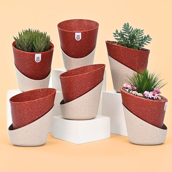 Earth-Friendly Planters EcoBloom 4 Inch set of 6 | Self watering Planters