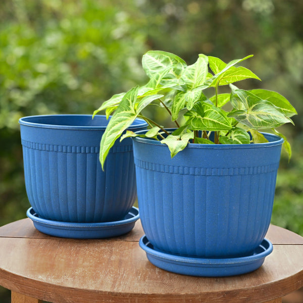 Eha Earth Friendly Petal Pot 7 inch | Pack of 2