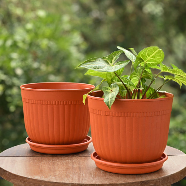 Eha Earth Friendly Petal Pot 7 inch | Pack of 2