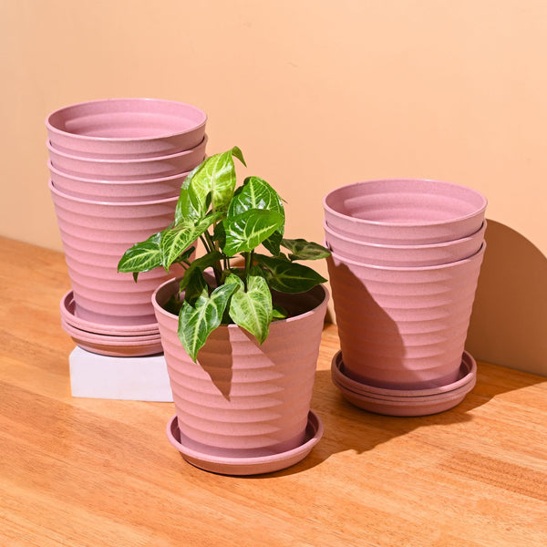 Earth Friendly Planters Linea 5.5 Inch | Set of 8