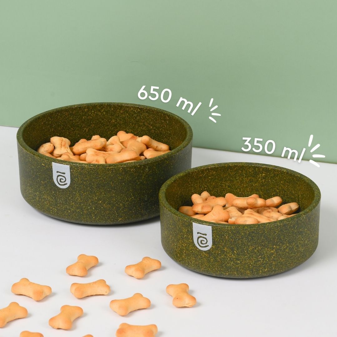 Earth friendly GreenPaws Pet Bowl | Set of 2
