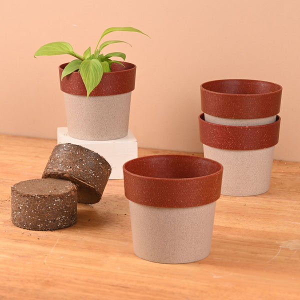 Earth Friendly Ecopod 4 inch Small pots for Indoor Plants with 2 Growmix | Pack of 4