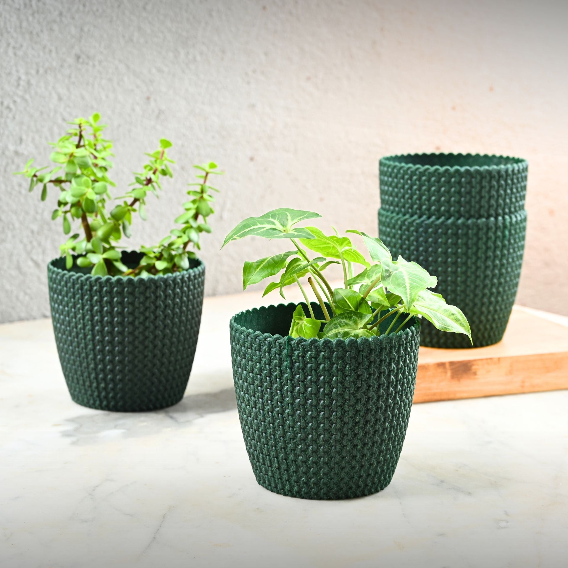 Earth Friendly Link 5.5 inch | Set of 4