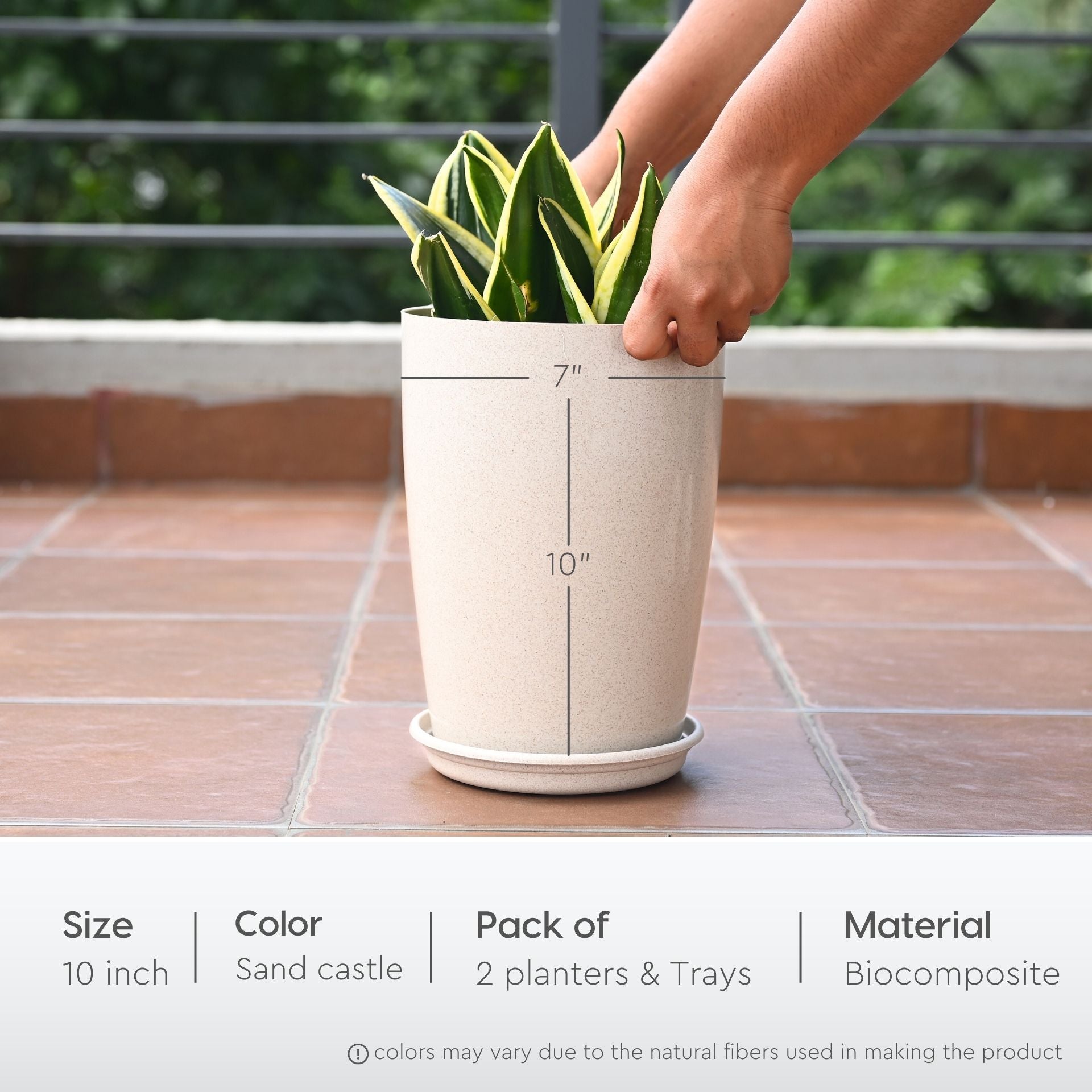 Earth Friendly Cypress 10 2 image 2