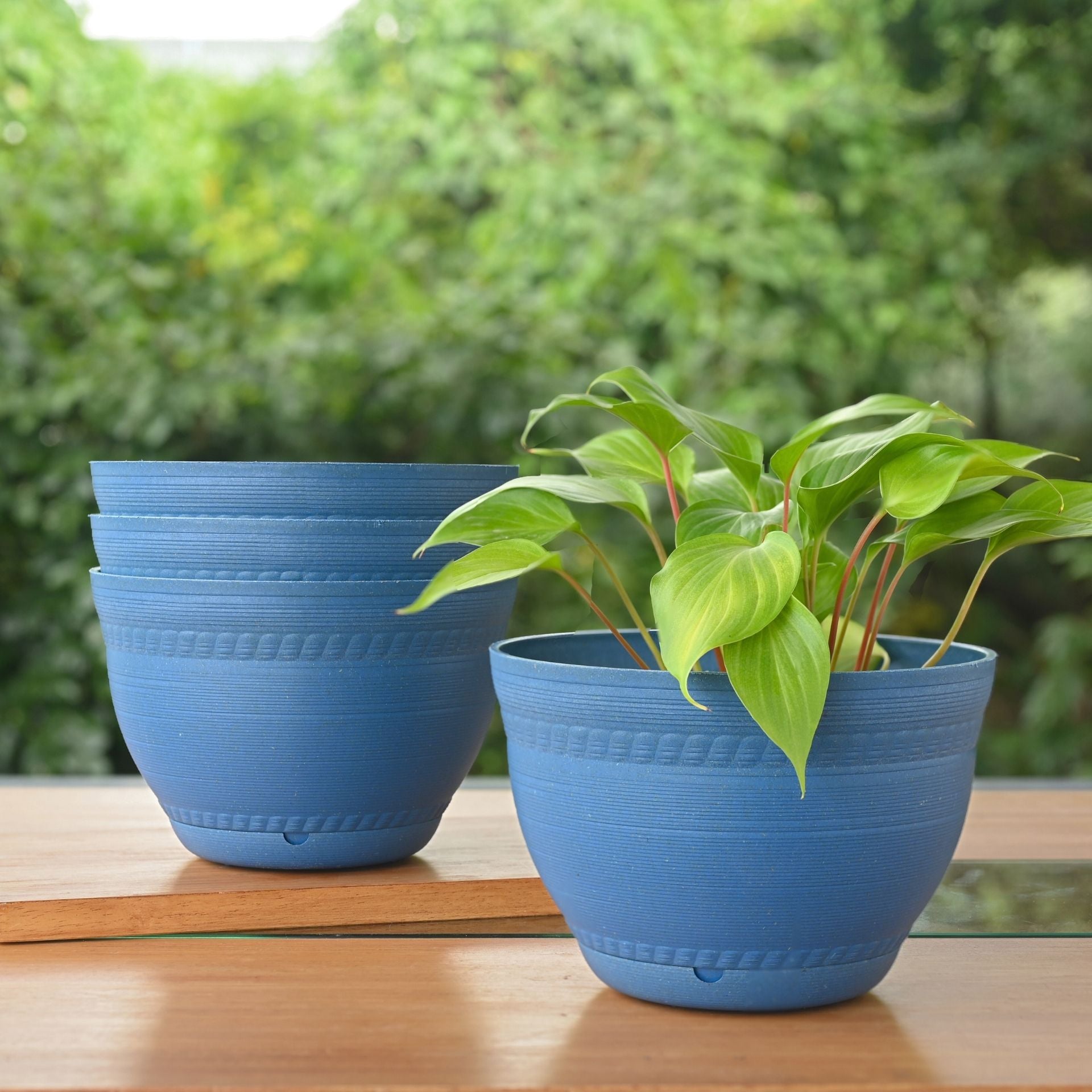 Earth-Friendly 8 inch Ripple Pots & Planters | Set of 4