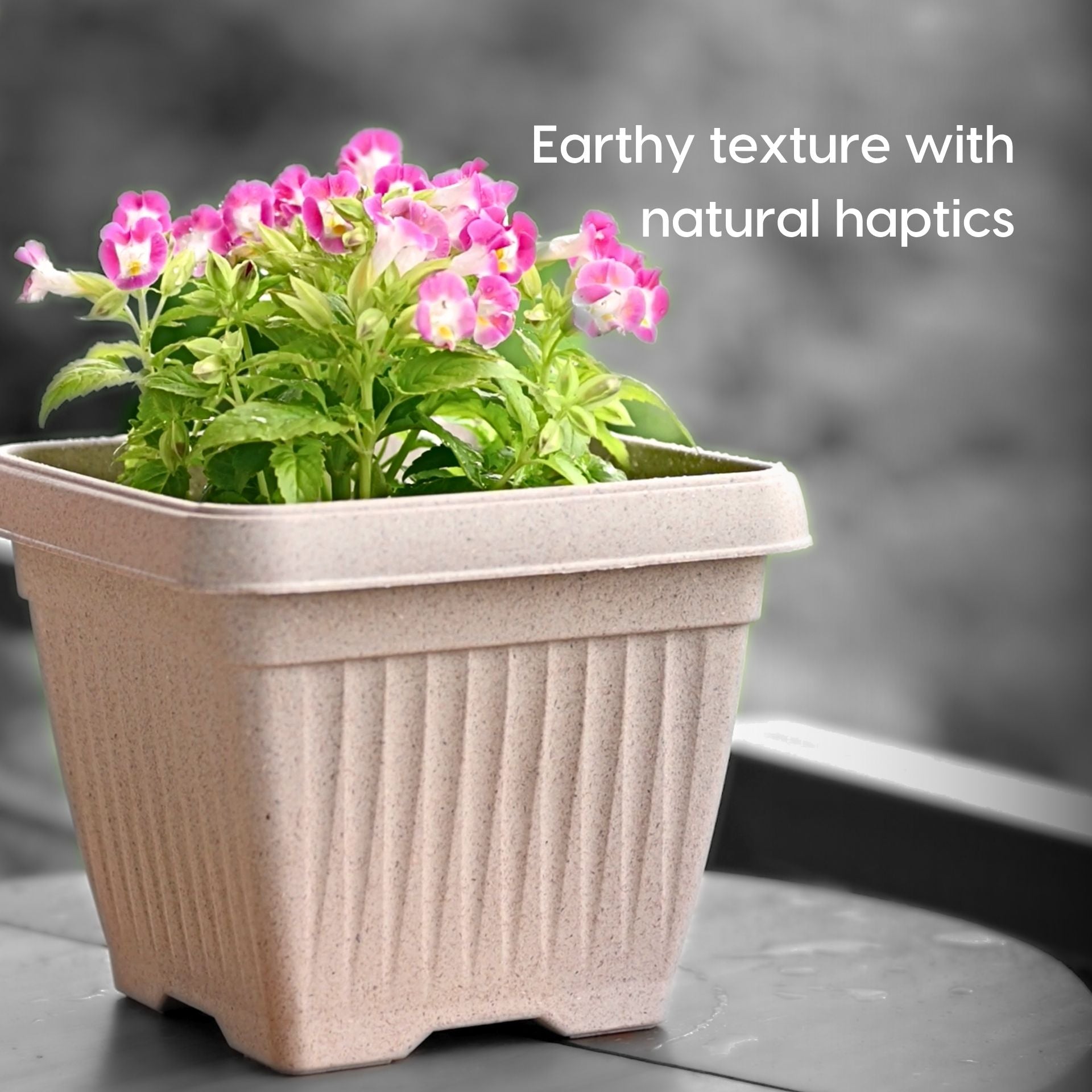 Earth Friendly Planters Bella Square image 3