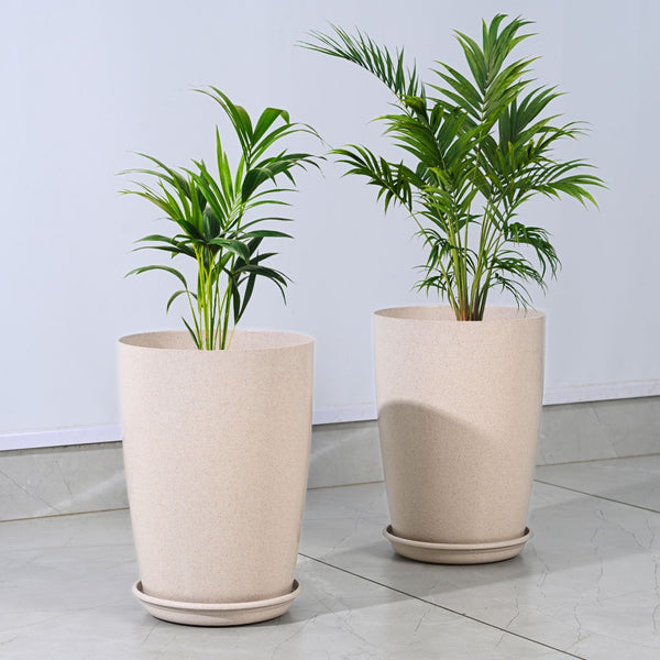Earth Friendly Cypress 13″ | Set of 2