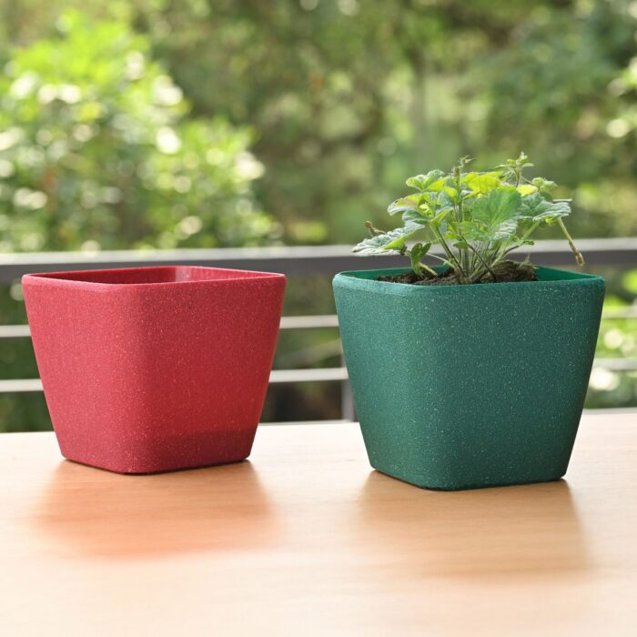 Earth Friendly Daisy Self Watering image 1