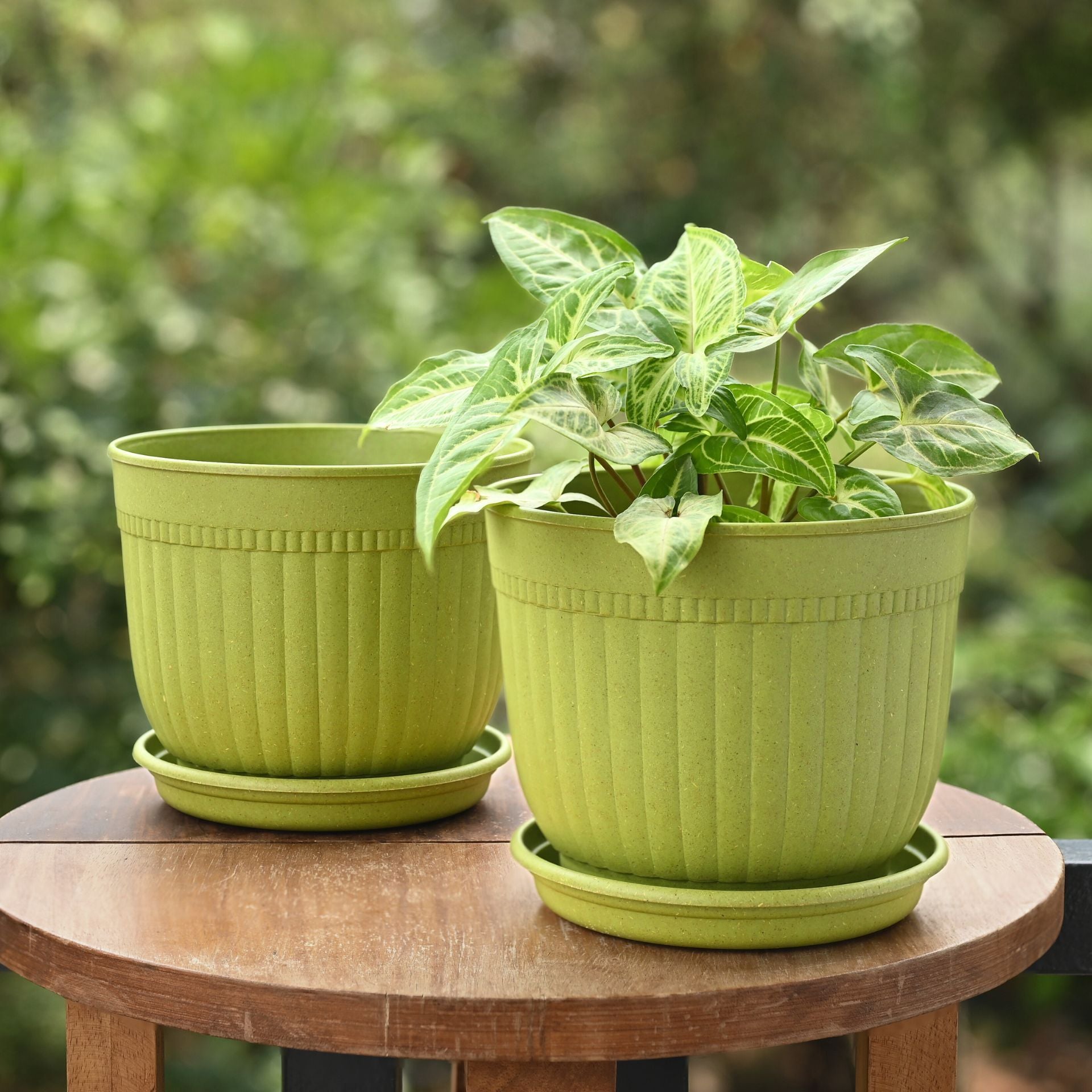 Eha Earth Friendly Petal Pot 7 inch | Pack of 2