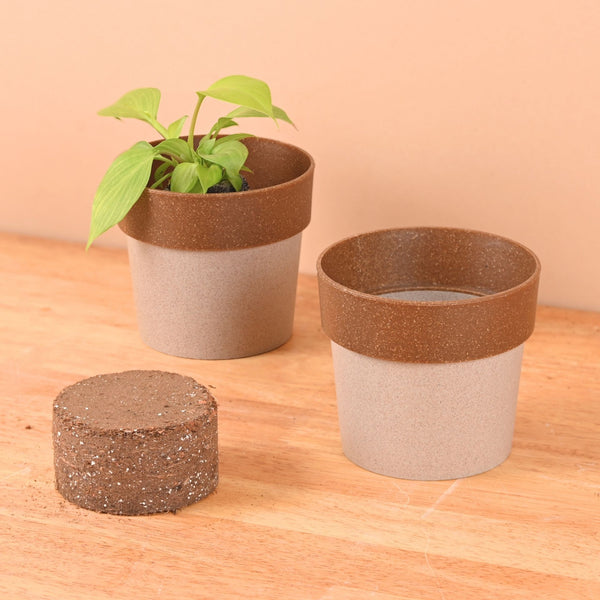 Earth Friendly Ecopod 4 inch Small pots for Indoor Plants with 1 Growmix | Pack of 2