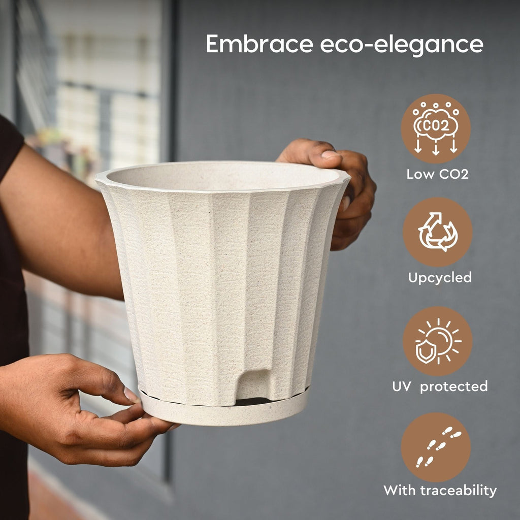 Earth Friendly Ace 7 inch image 3