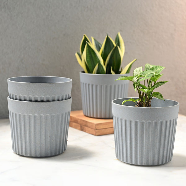 Earth Friendly Romano 6 inch | Set of 4