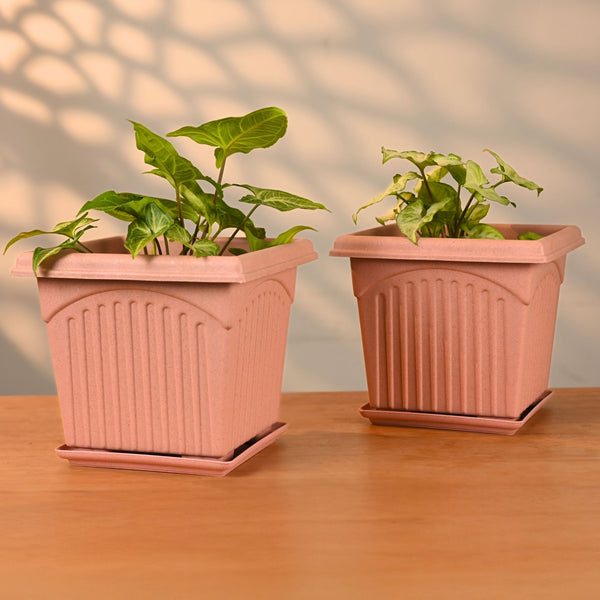 Earth Friendly 8″ Archway Planters with Tray | Set of 2