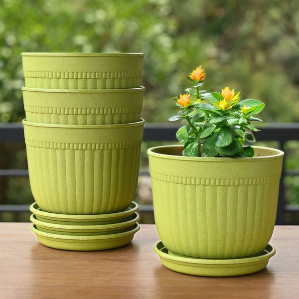 Eha Earth Friendly Petal Pot 7 inch | Pack of 4