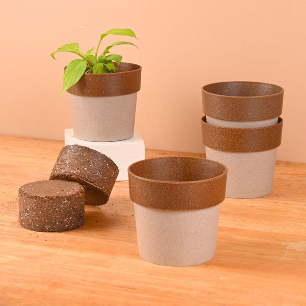 Earth Friendly Ecopod 4 inch Small pots for Indoor Plants with 2 Growmix | Pack of 4