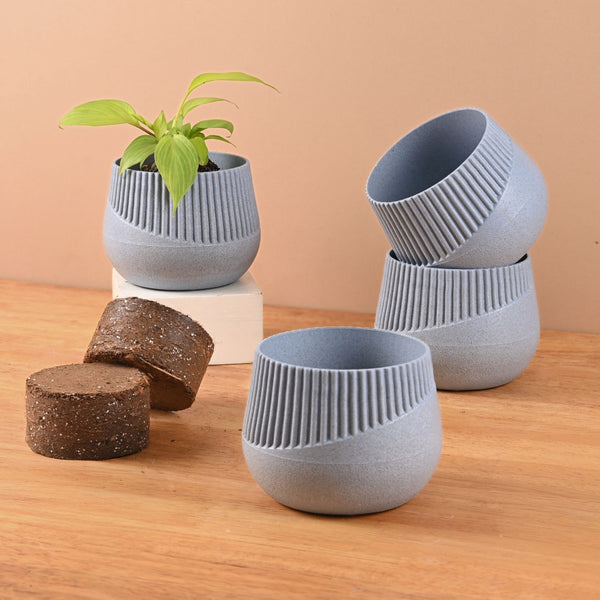 Earth Friendly Oreo 4 inch Small pots for Indoor Plants with 2 Growmix | Pack of 4
