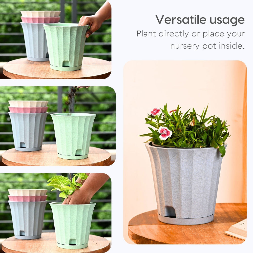 Earth Friendly Ace 7 inch image 4