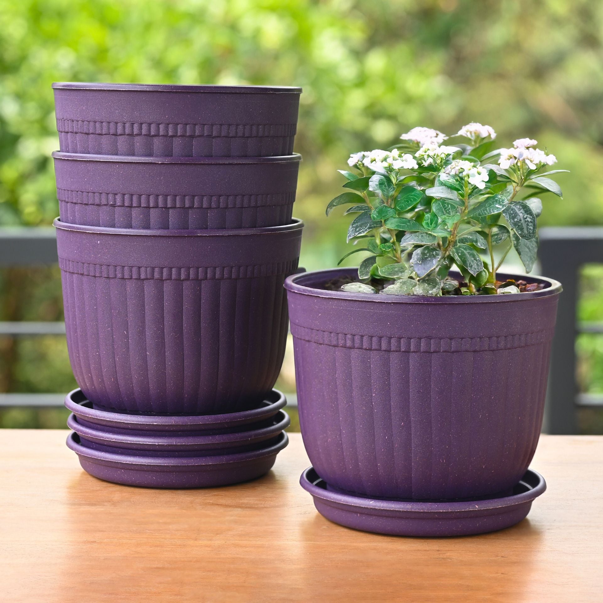 Eha Earth Friendly Petal Pot 7 inch | Pack of 4