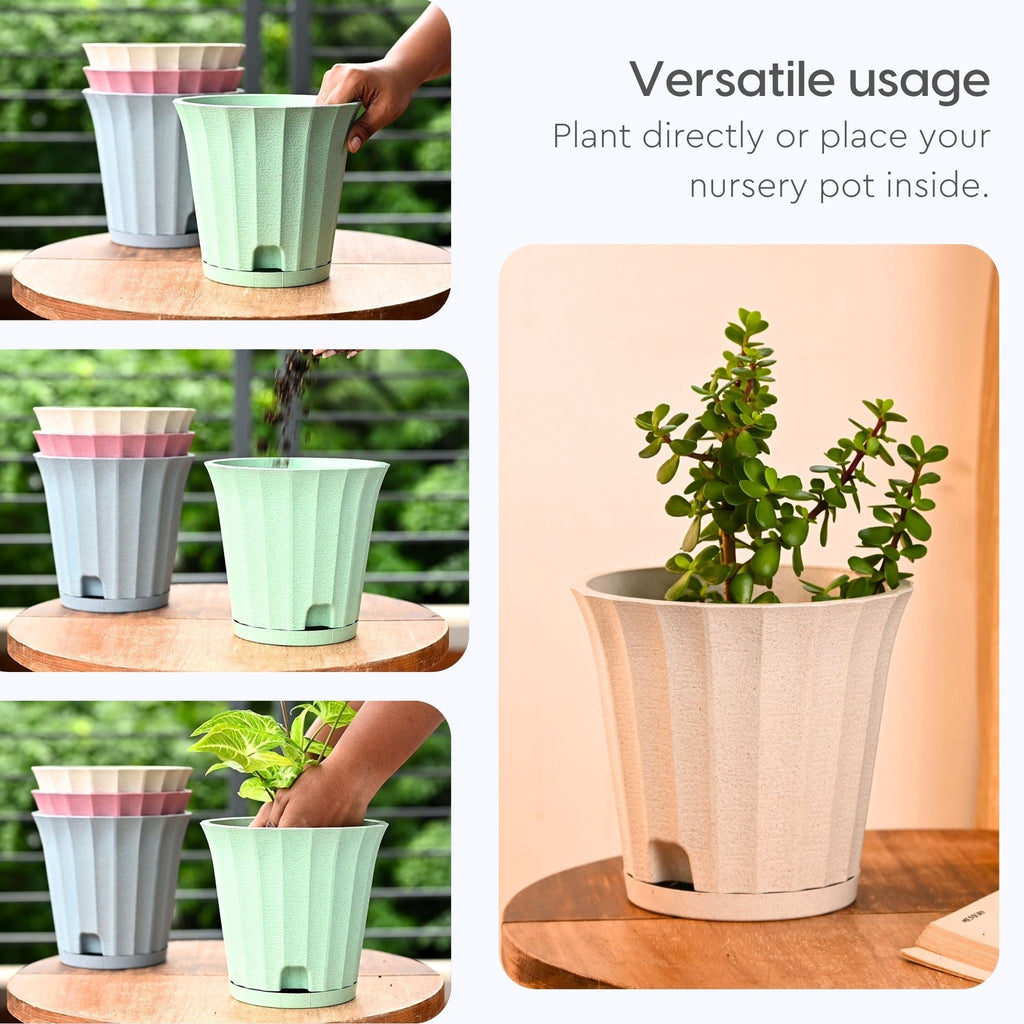 Earth Friendly Ace 7 inch image 4