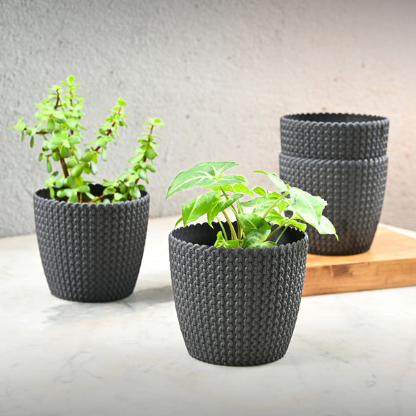 Earth Friendly Link 5.5 inch | Set of 4